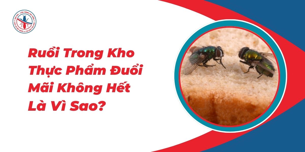 Ruoi-Trong-Kho-Thuc-Pham-Duoi-Mai-Khong-Het-La-Vi-Sao