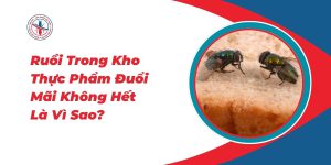 Ruoi-Trong-Kho-Thuc-Pham-Duoi-Mai-Khong-Het-La-Vi-Sao