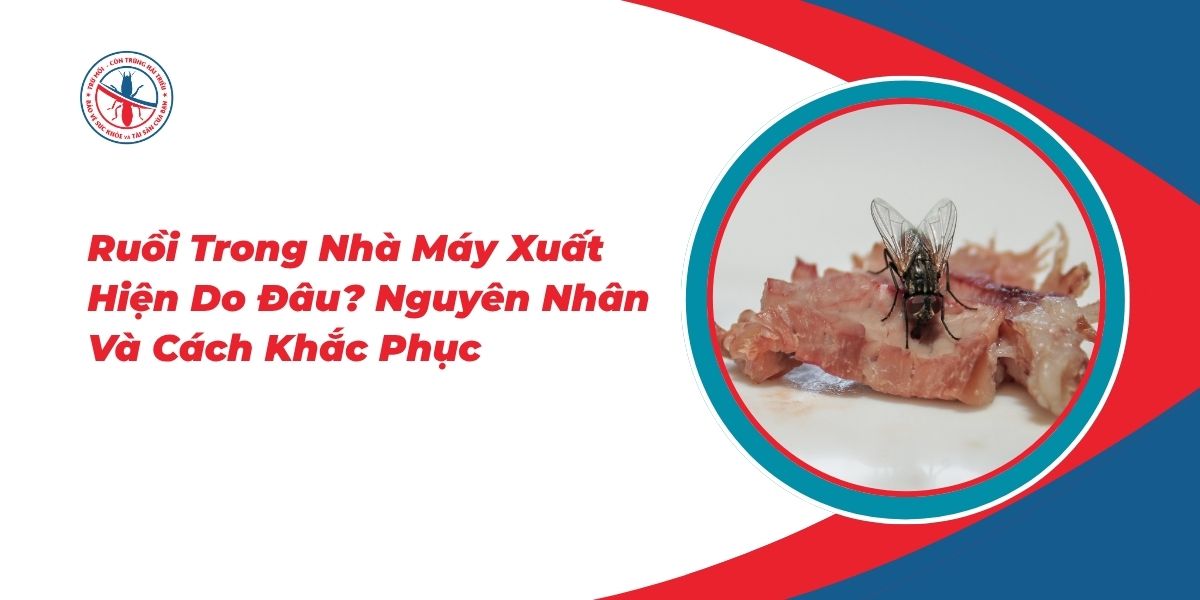 Ruoi-Trong-Nha-May-Xuat-Hien-Do-Dau-Nguyen-Nhan-Va-Cach-Khac-Phuc-Hieu-Qua