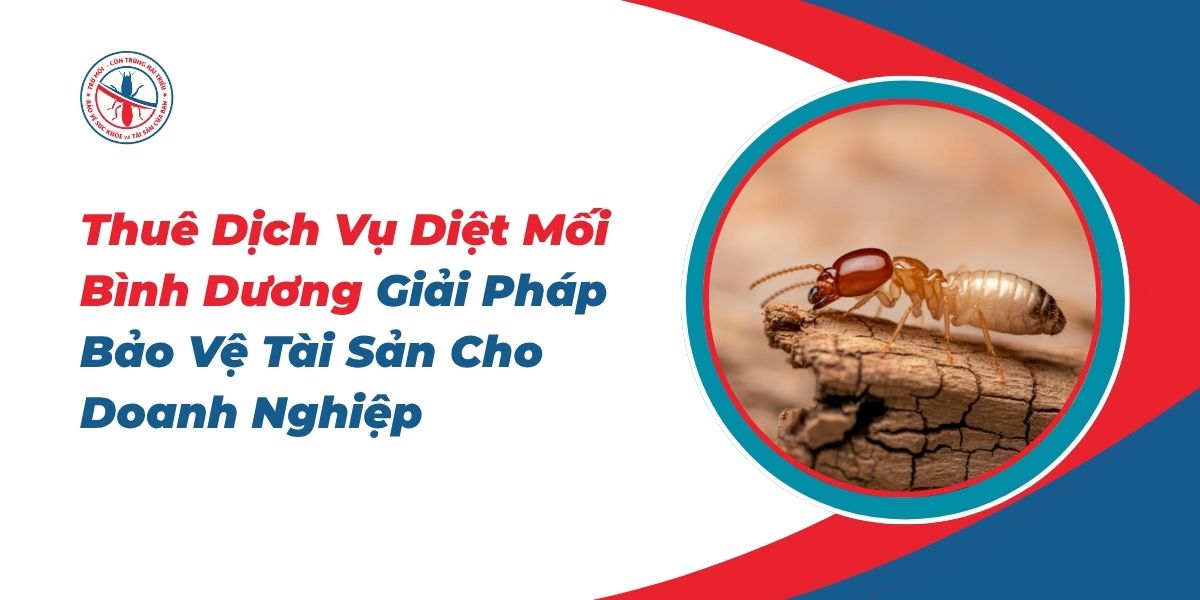 Thue-Dich-Vu-Diet-Moi-Binh-Duong-Giai-Phap-Bao-Ve-Tai-San-Cho-Doanh-Nghiep