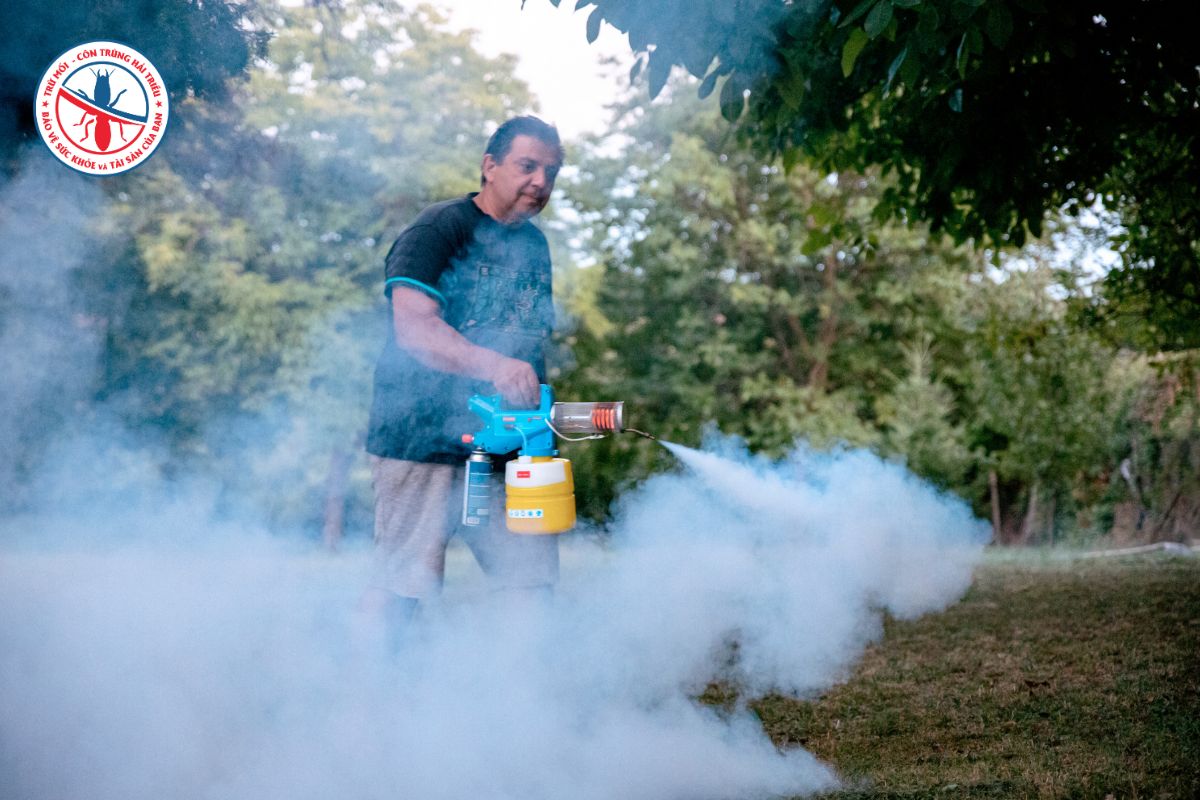 Tu-Phun-Thuoc-Muoi-Trong-Nha-May-Co-Thuc-Su-Hieu-Qua