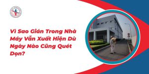 Vi-Sao-Gian-Trong-Nha-May-Van-Xuat-Hien-Du-Ngay-Nao-Cung-Quet-Don