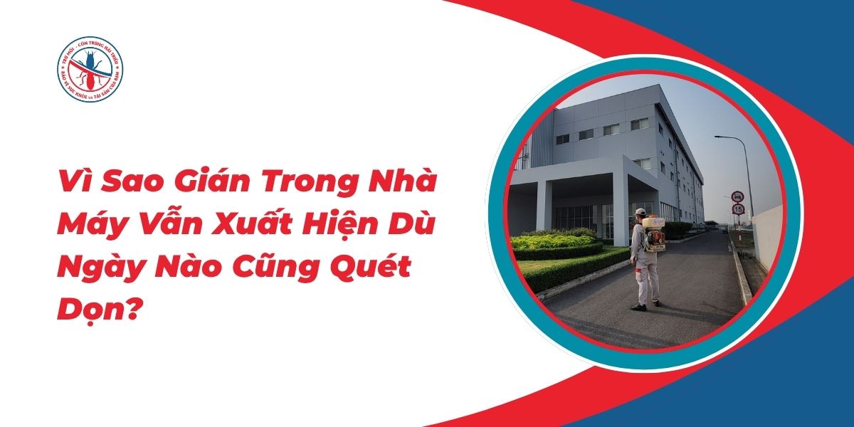 Vi-Sao-Gian-Trong-Nha-May-Van-Xuat-Hien-Du-Ngay-Nao-Cung-Quet-Don