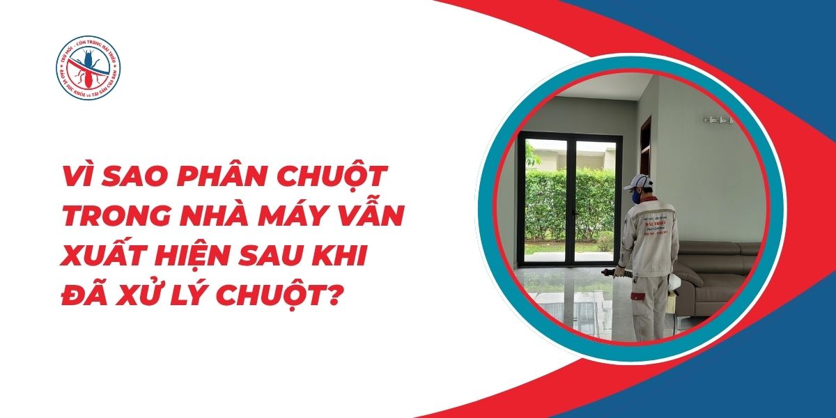 Vi-Sao-Phan-Chuot-Trong-Nha-May-Van-Xuat-Hien-Sau-Khi-Da-Xu-Ly-Chuot