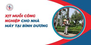 Xit-Muoi-Cong-Nghiep-Cho-Nha-May-Tai-Binh-Duong