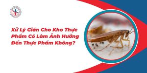 Xu-Ly-Gian-Cho-Kho-Thuc-Pham-Co-Lam-Anh-Huong-Den-Thuc-Pham-Khong