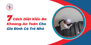 Cach-Diet-Kien-Ba-Khoang-An-Toan