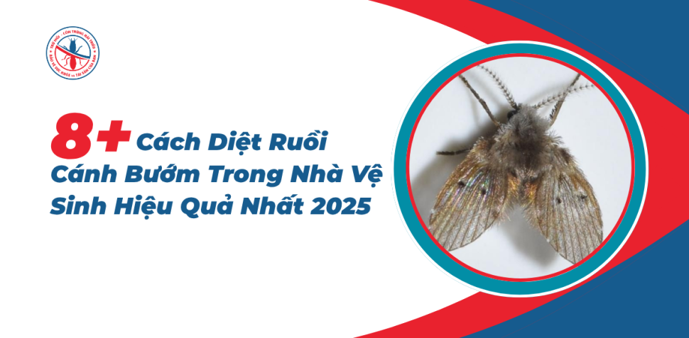 Cach-Diet-Ruoi-Canh-Buom-Trong-Nha-Ve-Sinh