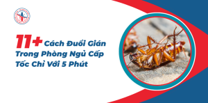 Cach-Duoi-Gian-Trong-Phong-Ngu