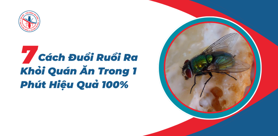 Cach-Duoi-Ruoi-Ra-Khoi-Quan-An