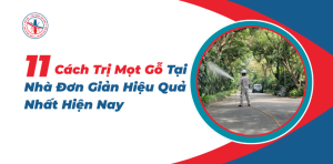 Cach-Tri-Mot-Go-Tai-Nha-Don-Gian-Hieu-Qua-Nhat-Hien-Nay
