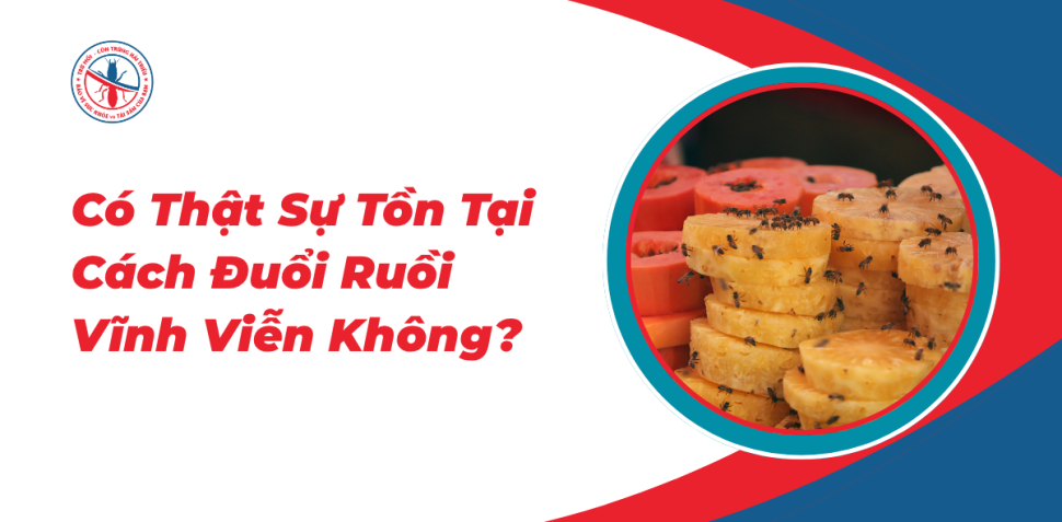 Co-That-Su-Ton-Tai-Cach-Duoi-Ruoi-Vinh-Vien-Khong