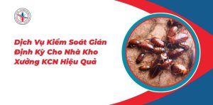 Dich-Vu-Kiem-Soat-Gian-Dinh-Ky-Cho-Nha-Kho-Xuong-KCN-Hieu-Qua