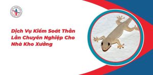 Dich-Vu-Kiem-Soat-Than-Lan-Chuyen-Nghiep-Cho-Nha-Kho-Xuong