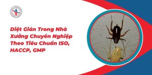 Diet-Gian-Trong-Nha-Xuong-Chuyen-Nghiep-Theo-Tieu-Chuan-ISO-HACCP-GMP