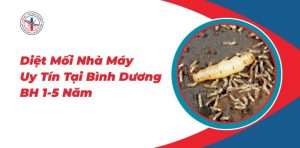 Diet-Moi-Nha-May-Uy-Tin-Tai-Binh-Duong-BH-1-5-Nam