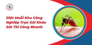 Diet-Muoi-Khu-Cong-Nghiep-Tron-Goi-Khao-Sat-Thi-Cong-Nhanh