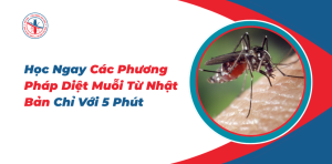 Hoc-Ngay-Cac-Phuong-Phap-Diet-Muoi-Tu-Nhat-Ban