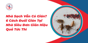 Nha-Sach-Van-Co-Gian-6-Cach-Duoi-Gian-Tai-Nha-Sieu-Don-Gian-Hieu-Qua-Tuc-Thi