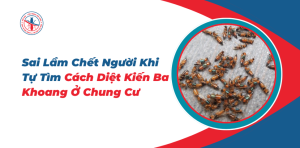 Sai-Lam-Chet-Nguoi-Khi-Tu-Tim-Cach-Diet-Kien-Ba-Khoang-O-Chung-Cu