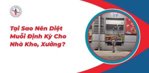 Tai-Sao-Nen-Diet-Muoi-Dinh-Ky-Cho-Nha-Kho-Xuong