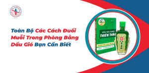 Toan-Bo-Cac-Cach-Duoi-Muoi-Trong-Phong-Bang-Dau-Gio-Ban-Can-Biet