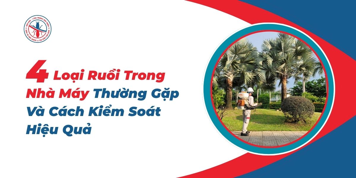 4-Loai-Ruoi-Trong-Nha-May-Thuong-Gap-Va-Cach-Kiem-Soat-Hieu-Qua