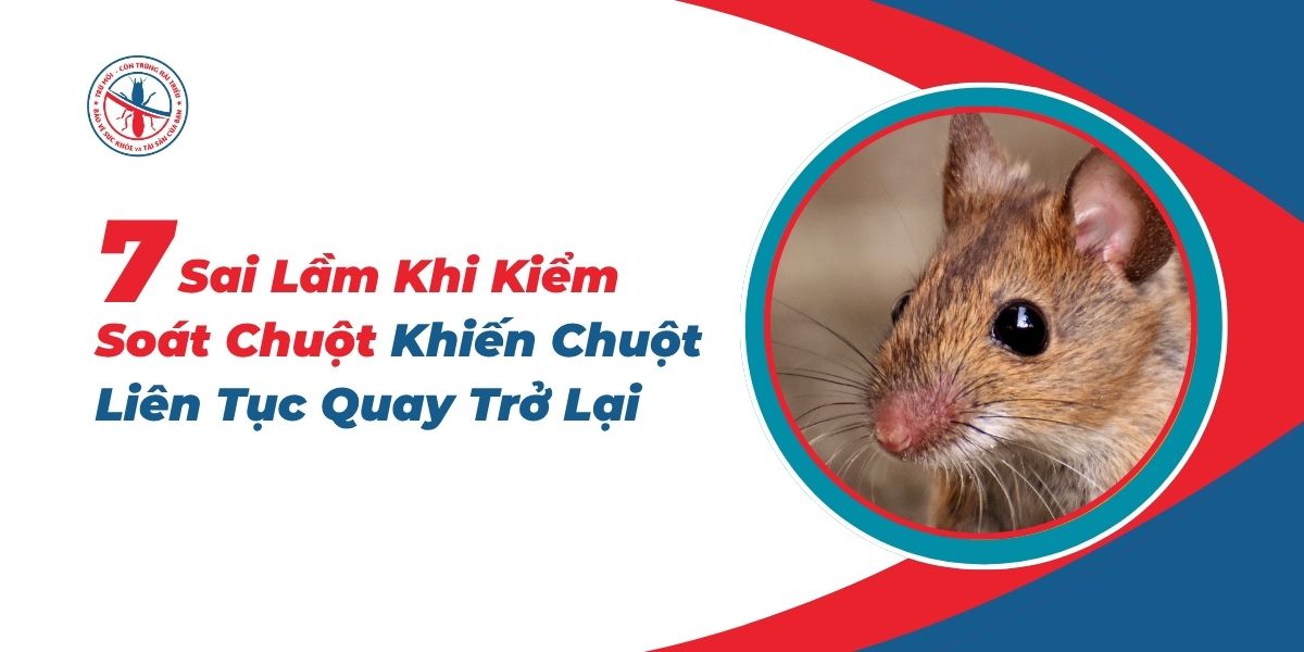 7-Sai-Lam-Khi-Kiem-Soat-Chuot-Khien-Chuot-Lien-Tuc-Quay-Tro-Lai