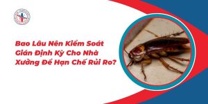 Bao-Lau-Nen-Kiem-Soat-Gian-Dinh-Ky-Cho-Nha-Xuong-De-Han-Che-Rui-Ro