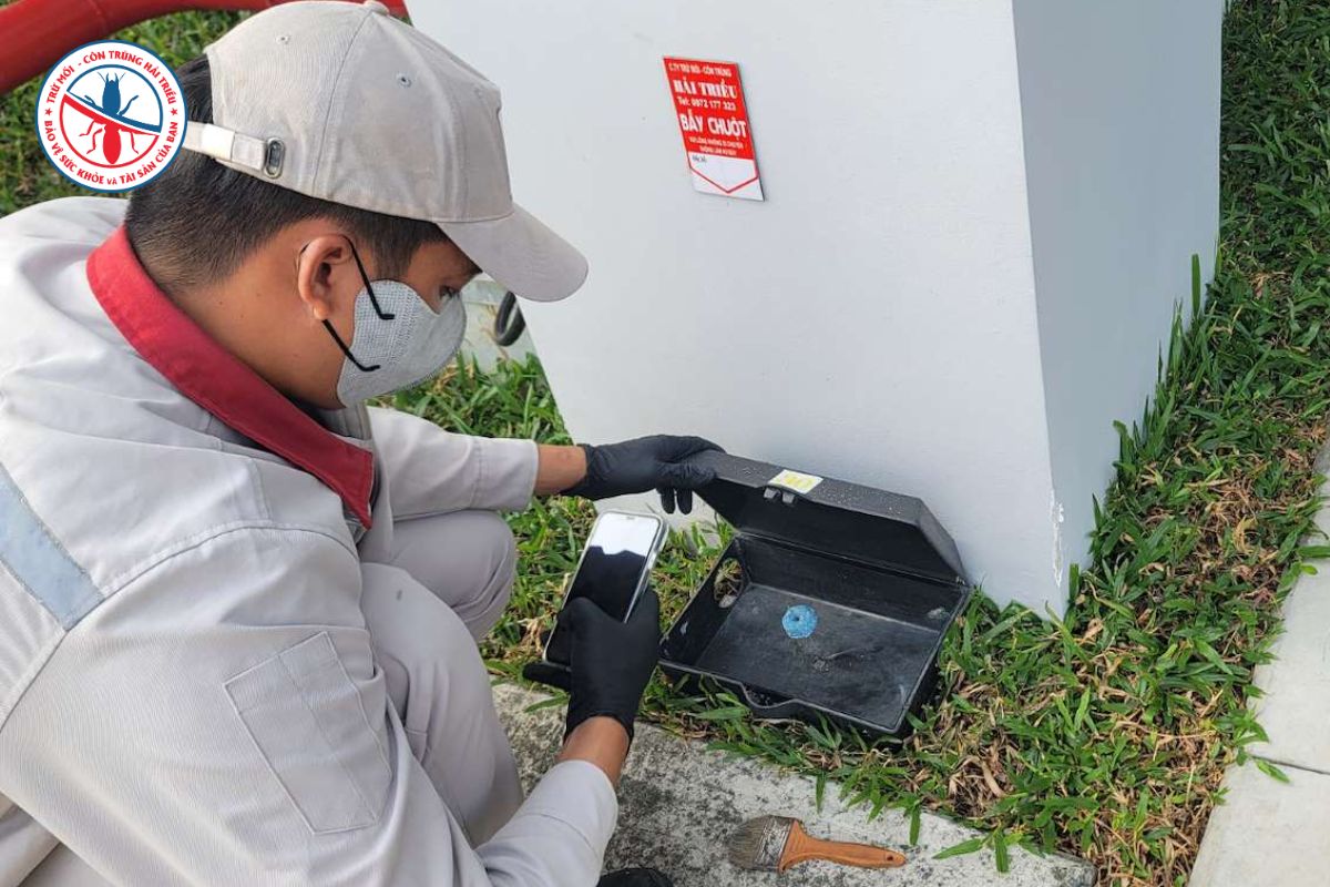 Chuột Trong Nhà Xưởng Ảnh Hưởng Đến Đánh Giá HACCP Và ISO 22000 Như Thế Nào? 5 Chuan-Bi-Gi-Truoc-Cac-Dot-Danh-Gia-HACCP-Va-ISO-22000