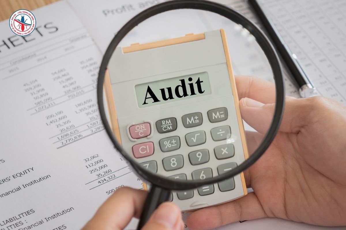Co-phai-cu-phun-thuoc-nhieu-se-dat-Audit