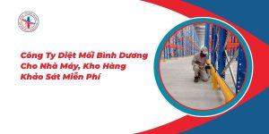 Cong-Ty-Diet-Moi-Binh-Duong-Cho-Nha-May-Kho-Hang-Khao-Sat-Mien-Phi