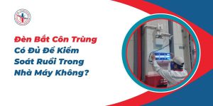 Den-Bat-Con-Trung-Co-Du-De-Kiem-Soat-Ruoi-Trong-Nha-May-Khong