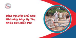 Dich-Vu-Diet-Moi-Cho-Nha-May-May-Uy-Tin-Khao-Sat-Mien-Phi