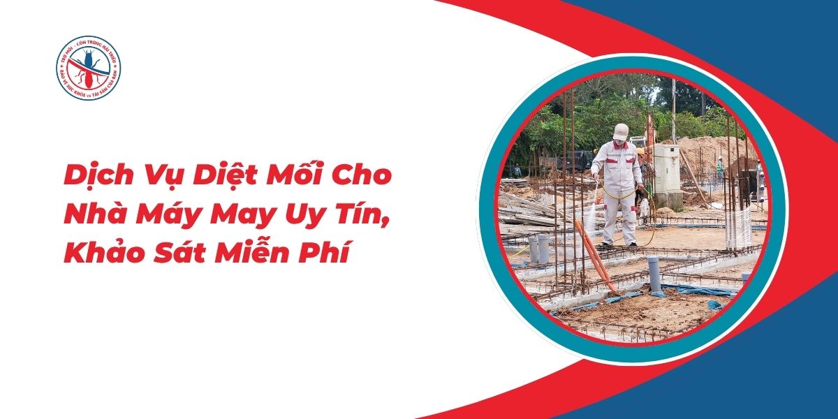 Dich-Vu-Diet-Moi-Cho-Nha-May-May-Uy-Tin-Khao-Sat-Mien-Phi