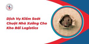 Dich-Vu-Kiem-Soat-Chuot-Nha-Xuong-Cho-Kho-Bai-Logistics
