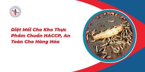 Diet-Moi-Cho-Kho-Thuc-Pham-Chuan-HACCP-An-Toan-Cho-Hang-Hoa