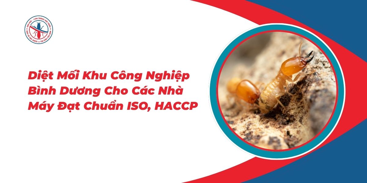 Diet-Moi-Khu-Cong-Nghiep-Binh-Duong-Cho-Cac-Nha-May-Dat-Chuan-ISO-HACCP