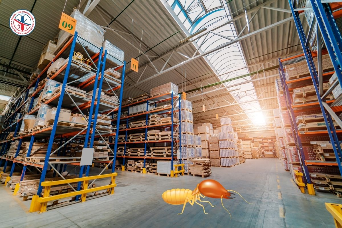 Diệt Mối Cho Kho Thực Phẩm Chuẩn HACCP, An Toàn Cho Hàng Hóa 6 Diet-moi-cho-kho-thuc-pham-co-anh-huong-hang-hoa-khong