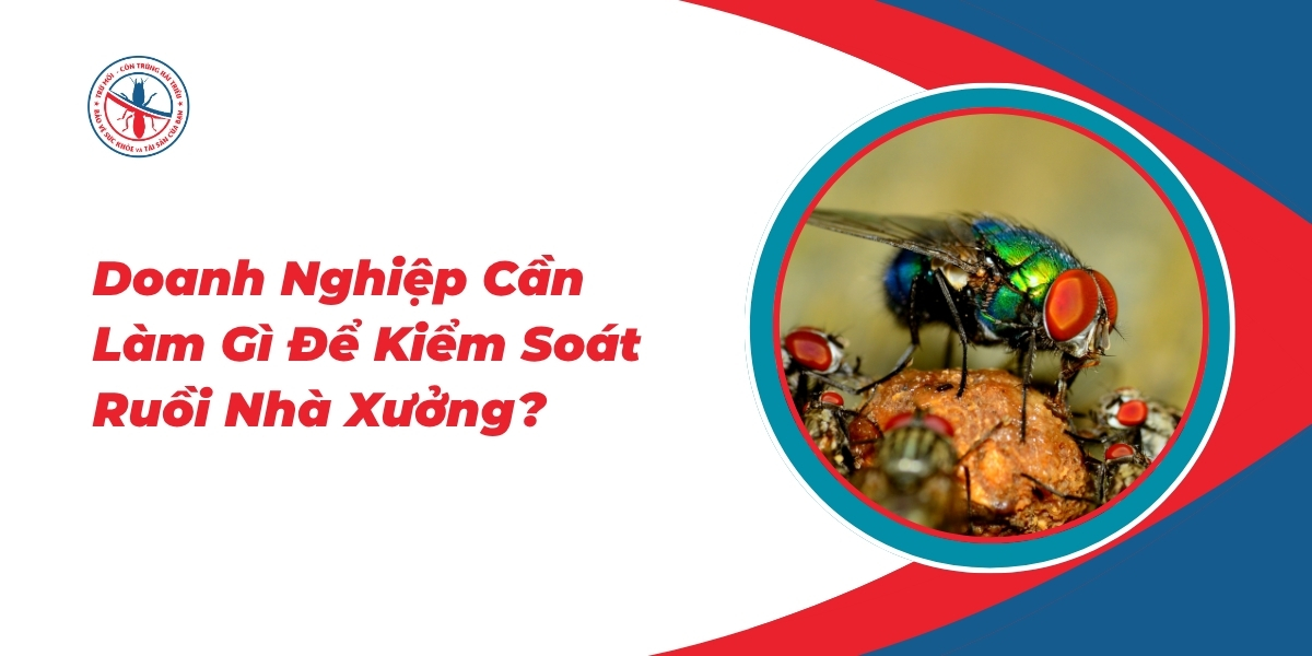 Doanh-Nghiep-Can-Lam-Gi-De-Kiem-Soat-Ruoi-Nha-Xuong