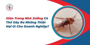 Gian-Trong-Nha-Xuong-Co-The-Gay-Ra-Nhung-Thiet-Hai-Gi-Cho-Doanh-Nghiep