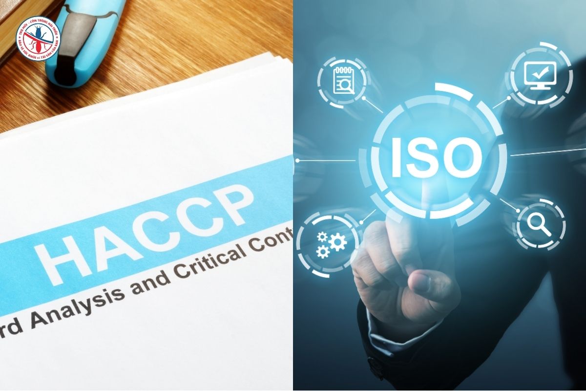 HACCP-va-ISO-khac-nhau-o-diem-nao