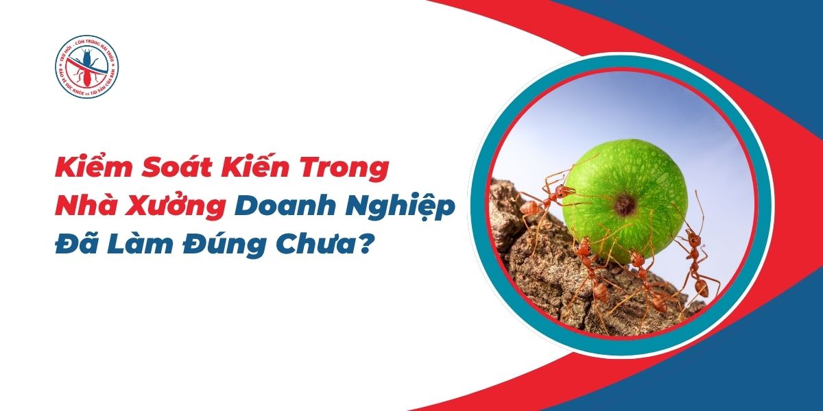 Kiem-Soat-Kien-Trong-Nha-Xuong-Doanh-Nghiep-Da-Lam-Dung-Chua