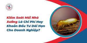 Kiem-Soat-Moi-Nha-Xuong-La-Chi-Phi-Hay-Khoan-Dau-Tu-Dai-Han-Cho-Doanh-Nghiep