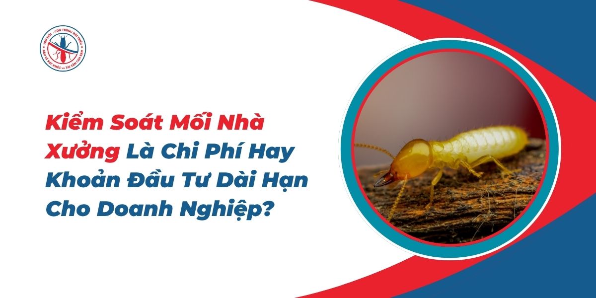 Kiem-Soat-Moi-Nha-Xuong-La-Chi-Phi-Hay-Khoan-Dau-Tu-Dai-Han-Cho-Doanh-Nghiep