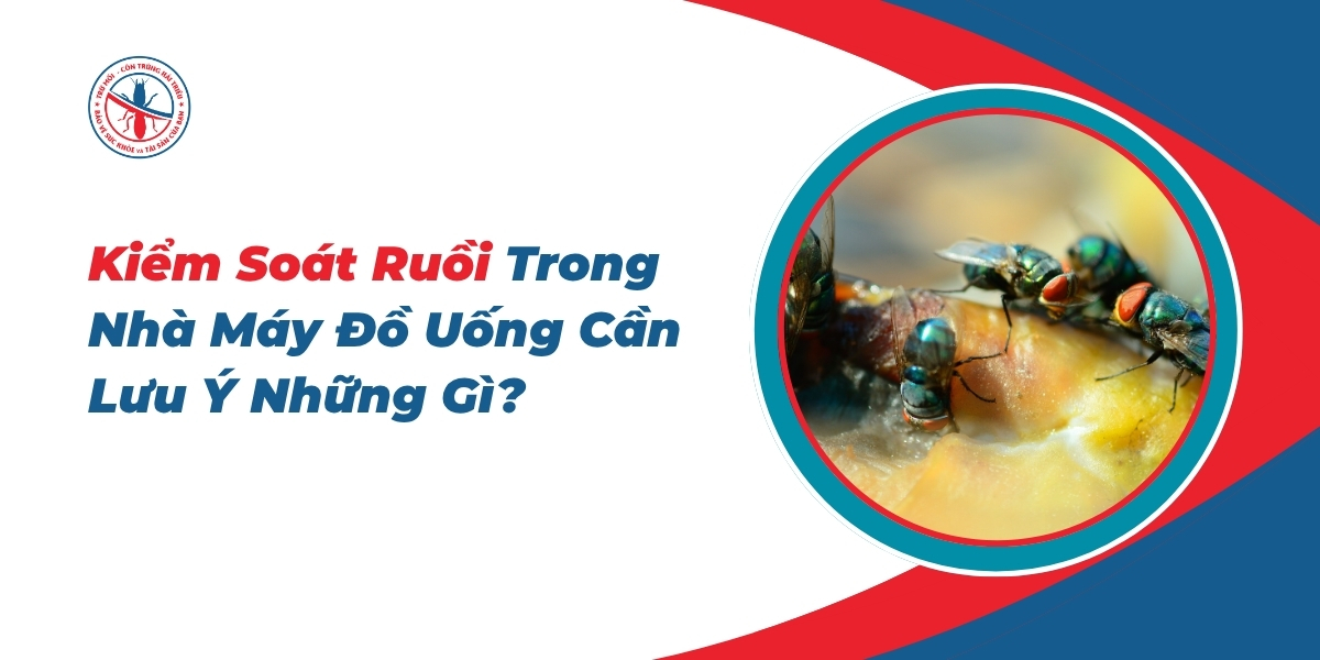 Kiem-Soat-Ruoi-Trong-Nha-May-Do-Uong-Can-Luu-Y-Nhung-Gi