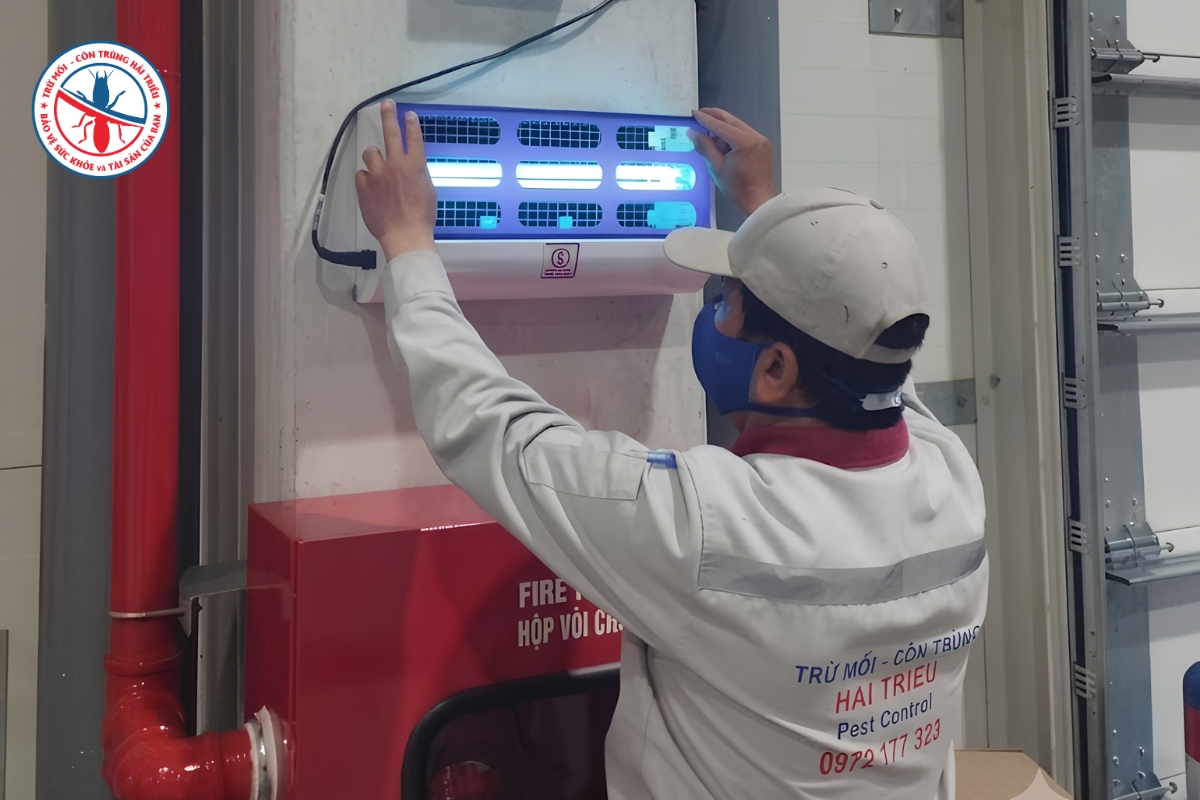 Doanh Nghiệp Cần Làm Gì Để Kiểm Soát Ruồi Nhà Xưởng? 4 Lam-The-Nao-De-Duy-Tri-Hieu-Qua-Kiem-Soat-Ruoi