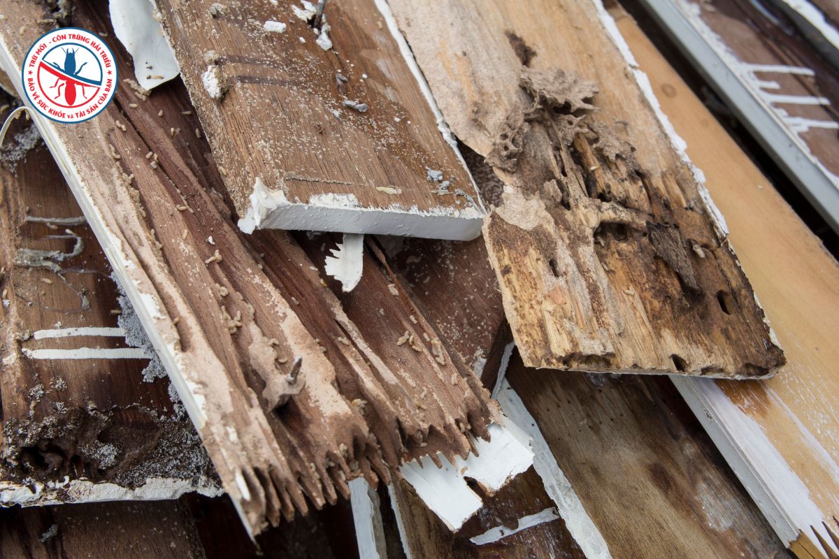 Moi-Co-The-Gay-Ra-Nhung-Thiet-Hai-Gi-Cho-Doanh-Nghiep
