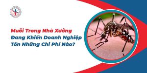 Muoi-Trong-Nha-Xuong-Dang-Khien-Doanh-Nghiep-Ton-Nhung-Chi-Phi-Nao