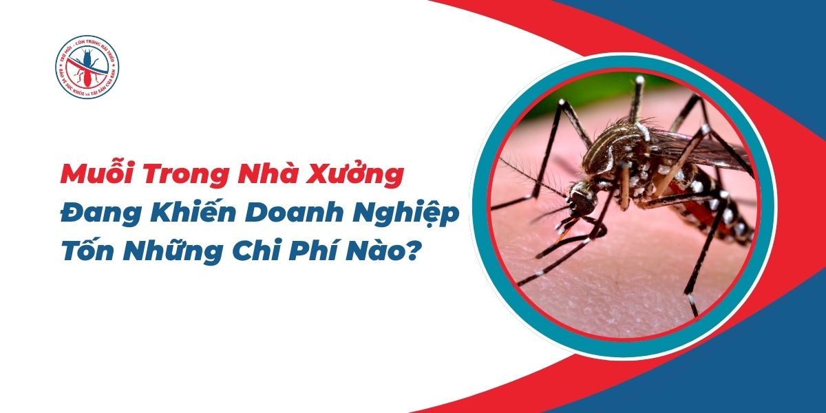 Muoi-Trong-Nha-Xuong-Dang-Khien-Doanh-Nghiep-Ton-Nhung-Chi-Phi-Nao